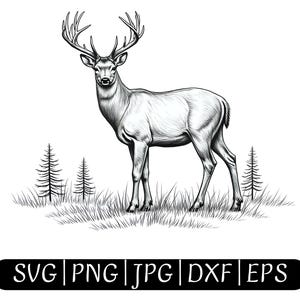 Big Buck | SVG PNG JPG eps dxf | Hirsch | Hirsch Buck Design | Hirsch Kunst | Sublimationsdruck | Hirsch jagen | Buck | Drucken | Weißwedelhirsch