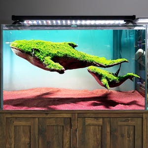 Natural driftwood dolphin sculpture aquarium aquascape statue aquascaping hardscape fish tank decoration