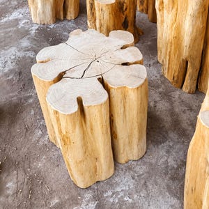 May include: A light-colored wooden stool crafted from a single tree trunk section. The top surface displays natural wood grain patterns, visible growth rings, and a prominent crack extending from the center toward the outer edge of the wood.