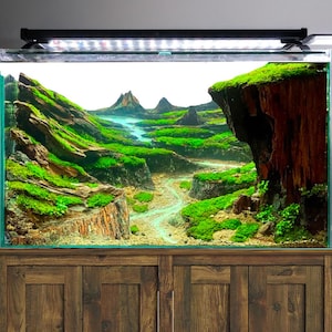 Driftwood aquarium large centerpiece aquascape hardscape landscape aquascaping fish tank decoration