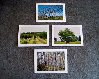 Trees Medley-set of 4 blank notecards
