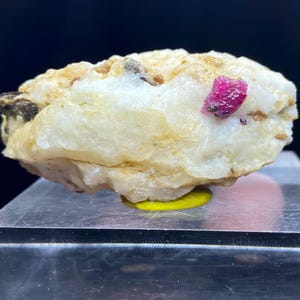 Puede incluir: Primer plano de una roca blanca y cristalina con un cristal de rubí rojo brillante incrustado. La roca está sobre un soporte de exhibición de vidrio transparente.