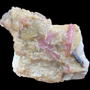May include: A natural mineral specimen featuring a matrix of beige and off-white stone. Embedded within are several pink tourmaline crystals, some appearing as elongated prisms. A small, dark inclusion is also visible.