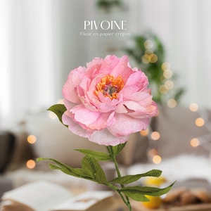 Peonia - Fiore di carta crespa