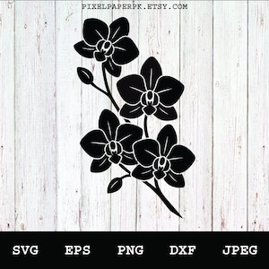 Könnte beinhalten: Schwarz-weiße Orchideen-Silhouette. Die Abbildung zeigt eine detaillierte Illustration von Orchideenblüten auf einem Stiel, vor einem weißen Holzgrund. Das Bild enthält den Text "PIXELPAPERPK.ETSY.COM" und Dateitypoptionen.