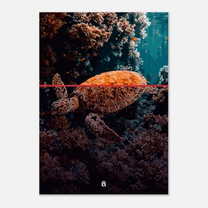 Può includere: Una tartaruga marina nuota attraverso una barriera corallina. La tartaruga è arancione e marrone con un guscio a motivi. Il corallo è di vari colori, tra cui arancione, marrone e verde.