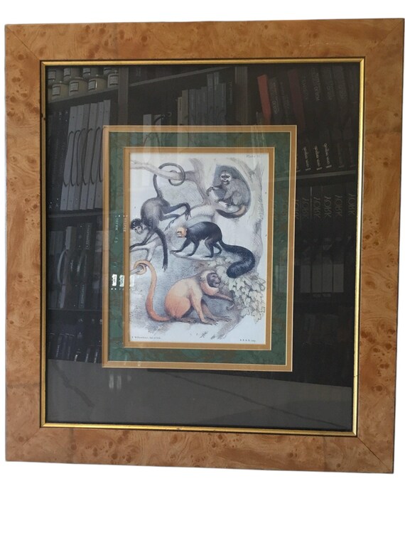 print of monkeys - image 1