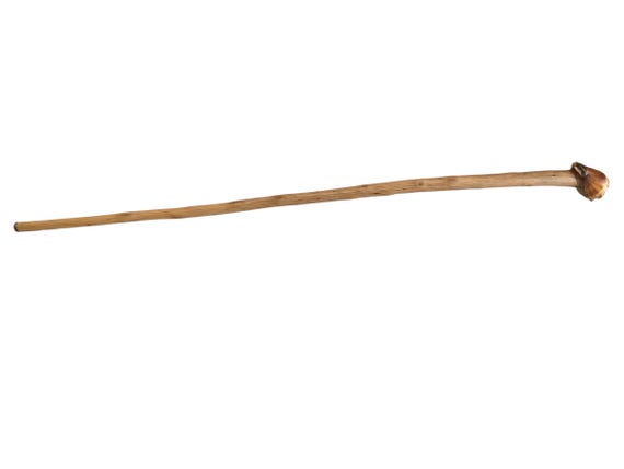 walking stick with shell - image 1