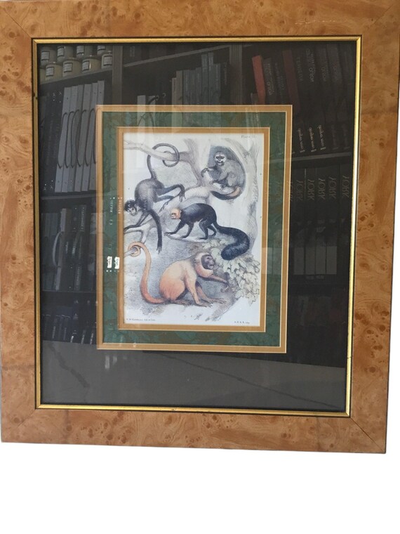 print of monkeys - image 2