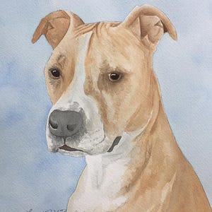 Pit Bull, an 8x10 print of a watercolor painting of a friend&#39;s pet dog.