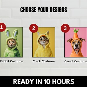 May include: Three images showing different animal costumes for pets. The first image shows a cat wearing a green rabbit costume. The second image shows a cat wearing a yellow chick costume. The third image shows a dog wearing an orange carrot costume. The text below each image reads "Rabbit Costume", "Chick Costume", and "Carrot Costume". The text at the bottom of the image reads "READY IN 10 HOURS".