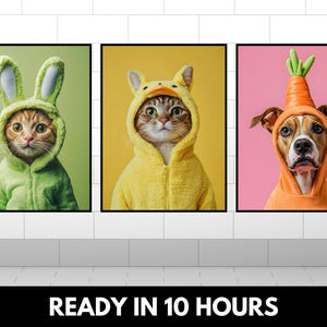May include: Three framed pictures of animals wearing costumes. The first picture shows a cat wearing a green bunny costume. The second picture shows a cat wearing a yellow duck costume. The third picture shows a dog wearing an orange carrot costume.