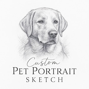 Custom Pet Portrait Sketch, Personalized Dog or Cat Drawing, Hand Drawn Animal Illustration, Digital Pet Memorial Gift
