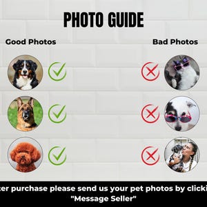 May include: A guide with examples of good and bad photos for pet portraits. The guide shows three examples of good photos, including a Bernese Mountain Dog, a German Shepherd, and a Poodle. The guide also shows three examples of bad photos, including a cat wearing sunglasses, a dog wearing sunglasses, and a person holding a dog.