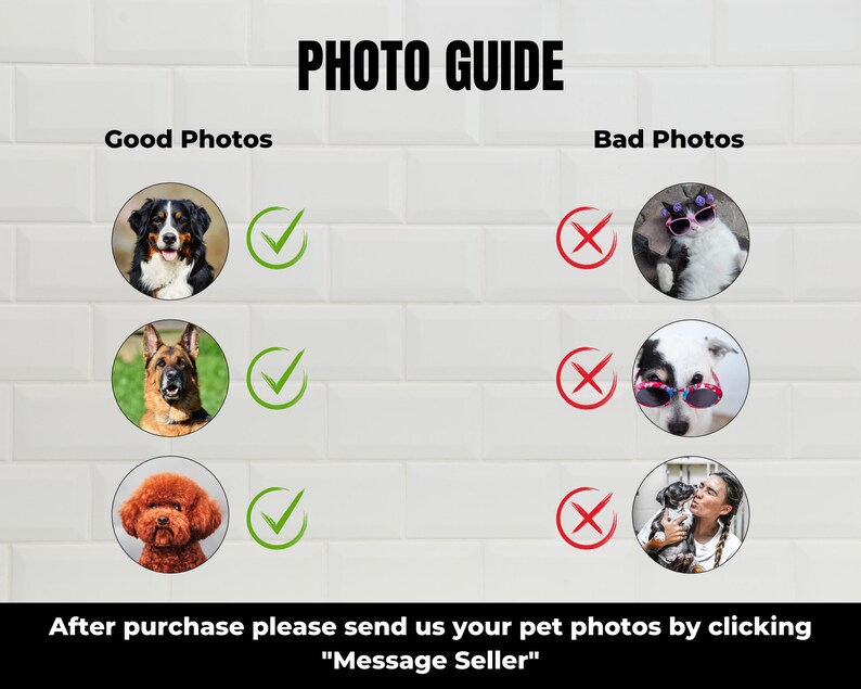 May include: A guide with examples of good and bad photos for pet portraits. The guide shows three examples of good photos, including a Bernese Mountain Dog, a German Shepherd, and a Poodle. The guide also shows three examples of bad photos, including a cat wearing sunglasses, a dog wearing sunglasses, and a person holding a dog.