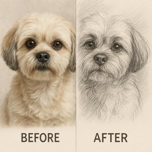 May include: A side-by-side comparison of a dog portrait before and after a pencil sketch. The "before" image shows a fluffy, light-colored dog with brown eyes. The "after" image is a detailed pencil sketch of the same dog. The text "BEFORE" and "AFTER" are below each image.