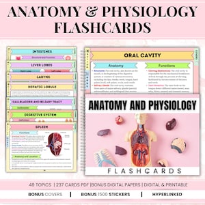 Anatomie und Physiologie Karteikarten 49+ Themen, Krankenpflege Karteikarten, Bonus Sticker und Cover, Anatomie und Physiologie Lernmaterialien