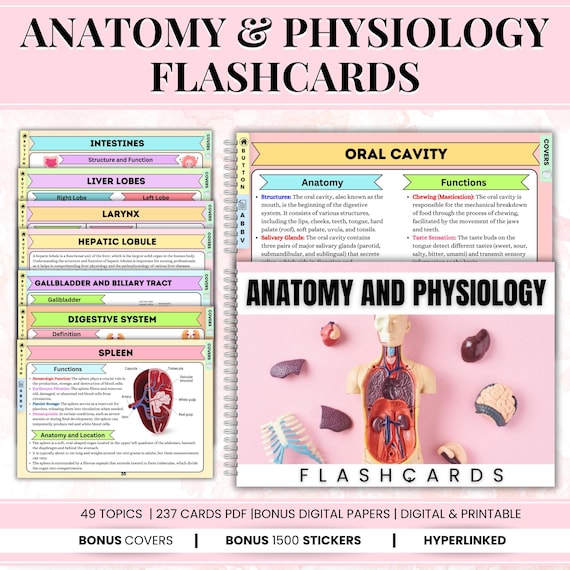 Anatomy & Physiology FlashCards 49+ Topics, Nursing Flashcards, Bonus Stickers and Covers, Anatomy and physiology learning tools