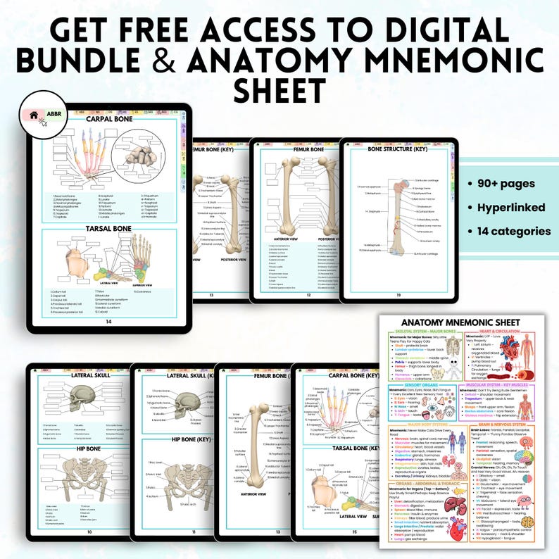 Human Anatomy Labeling Worksheets Book | Physical Anatomy Workbook ...