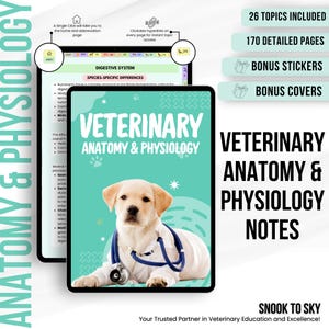 Veterinary Anatomy & Physiology Study Bundle | Hyperlinked Guide, Vet Nursing Notes, Vet Tech And Medical Study Resource