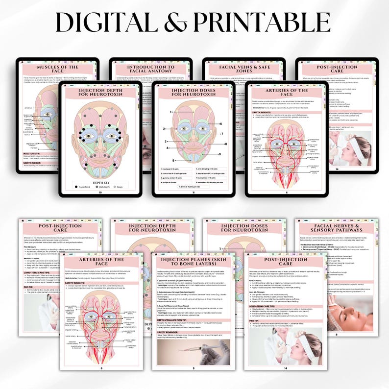 Injector’s Anatomy Guide | Aesthetic Nurse Study Guide | Bonus ...