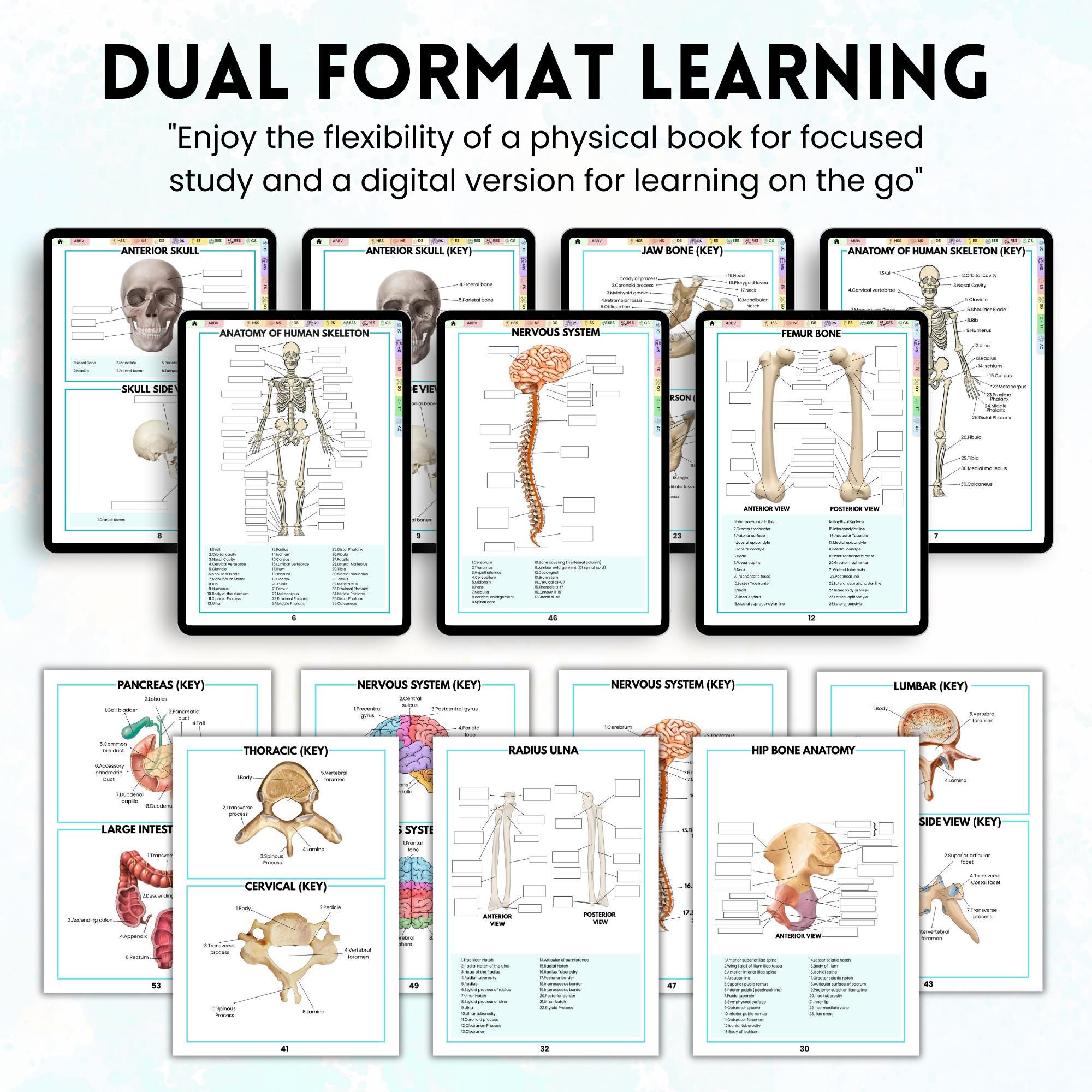 Human Anatomy Labeling Worksheets Book | Physical Anatomy Workbook ...