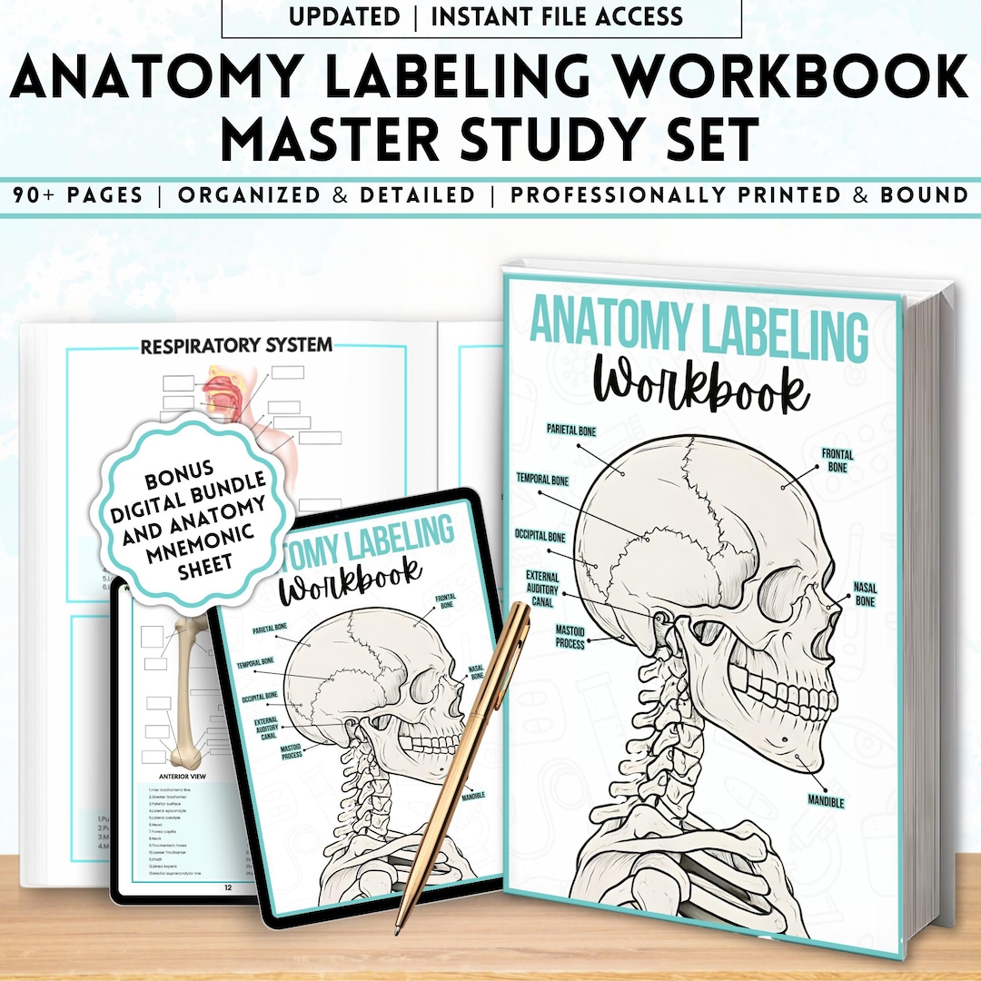 Human Anatomy Labeling Worksheets Book | Physical Anatomy Workbook ...