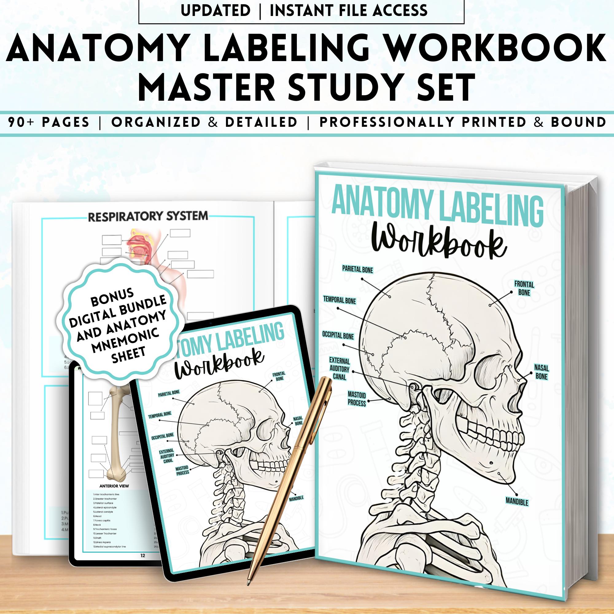 Human Anatomy Labeling Worksheets Book | Physical Anatomy Workbook ...