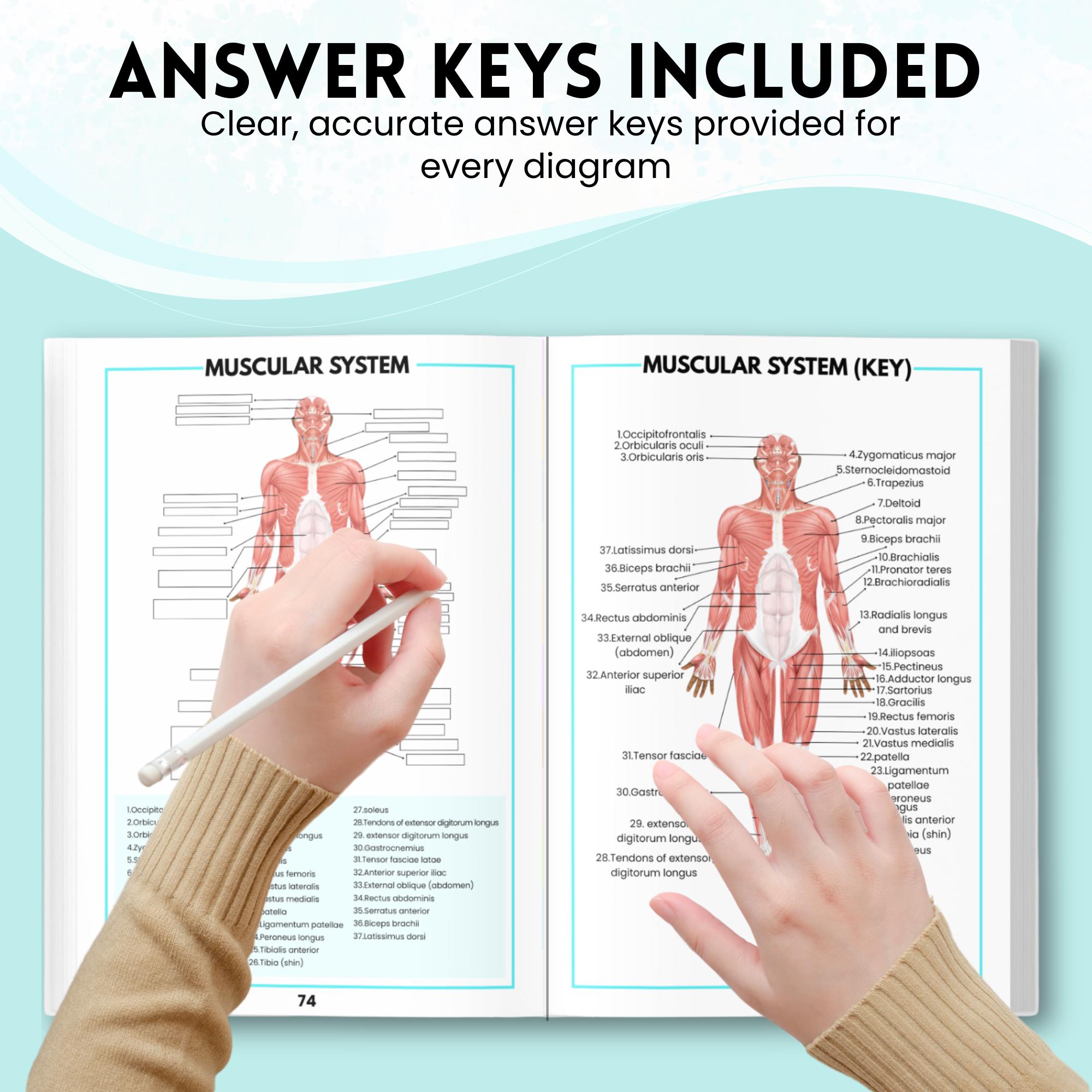 Human Anatomy Labeling Worksheets Book | Physical Anatomy Workbook ...