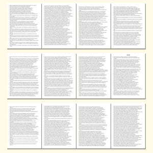 May include: A collection of nine white paper pages with black text, arranged in three rows of three. The text appears to be a detailed list or plan, with each page containing numerous bullet points. The word "PLAN" is visible on one page.