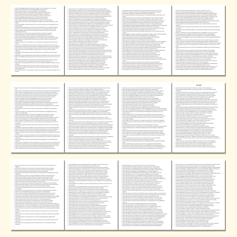May include: A collection of nine white paper pages with black text, arranged in three rows of three. The text appears to be a detailed list or plan, with each page containing numerous bullet points. The word "PLAN" is visible on one page.