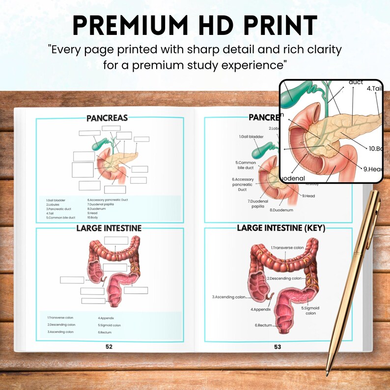 Human Anatomy Labeling Worksheets Book | Physical Anatomy Workbook ...