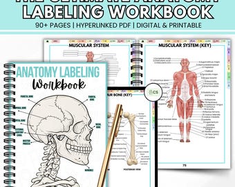 Cahier d'exercices d'étiquetage anatomique | Guide d'étude en soins infirmiers | Systèmes du corps humain | Feuilles de travail imprimables A&P | Plus de 90 pages | Téléchargement instantané