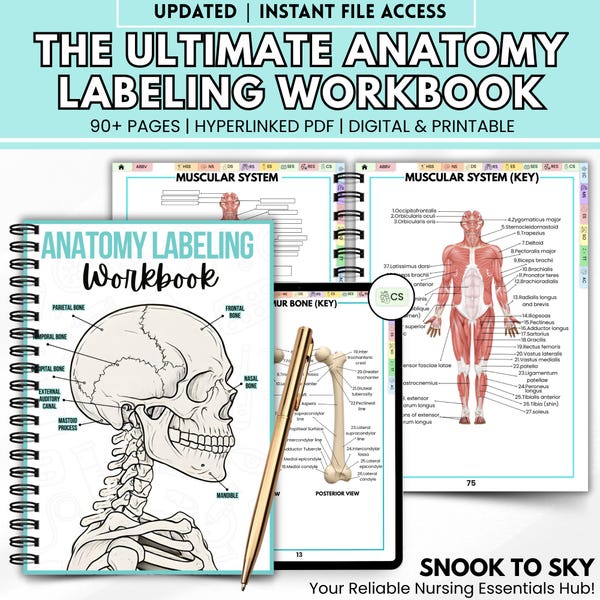 Bone Anatomy Labeling - Etsy UK