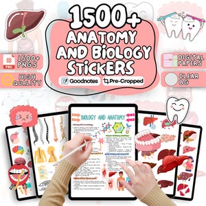 May include: Digital stickers for anatomy and biology, featuring illustrations of organs, teeth, and diagrams. The image includes the text "1500+ Anatomy and Biology Stickers" and "Goodnotes Pre-Cropped". The stickers are high quality and come in PNG format.
