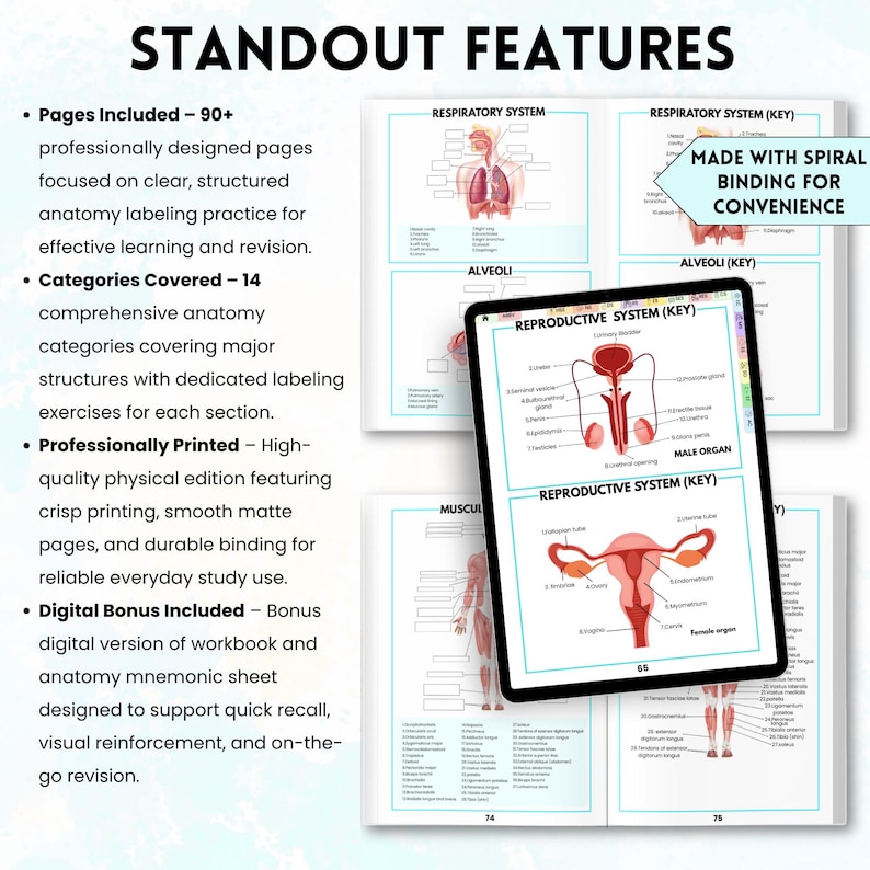 Human Anatomy Labeling Worksheets Book | Physical Anatomy Workbook ...