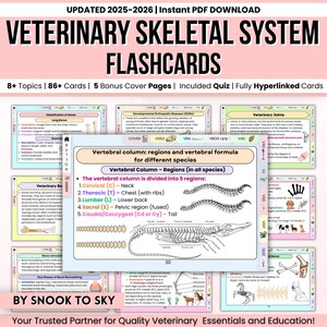 May include: A set of veterinary skeletal system flashcards with the text "UPDATED 2025-2026" and "Instant PDF DOWNLOAD". The cards cover topics like bone classification, joints, and vertebral regions. The image includes diagrams and illustrations.