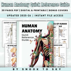 Human Anatomy Guide, 20 Pages Pdf, Human Body Systems Quick Guide, Med Study Material, Human Anatomy Study, Human Organs, anatomy Skeleton
