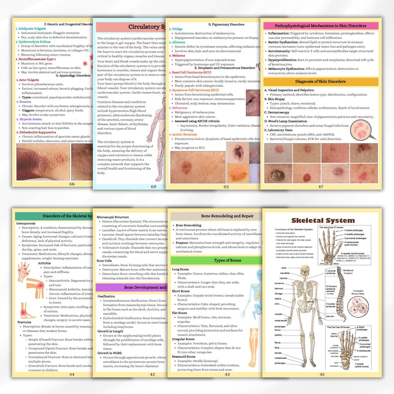 Anatomy and Physiology Study Guide | A&P Physical Book VI-VII | Human ...