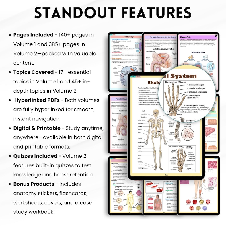 May include: A collection of digital anatomy study guides displayed on tablets. The guides cover topics such as the skeletal system and male reproductive system. The text highlights features like hyperlinked PDFs, quizzes, and bonus products.