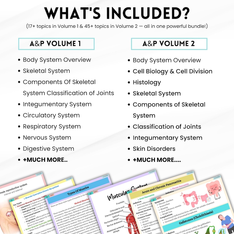 May include: A graphic with the text "WHAT'S INCLUDED?" lists topics from A&P Volume 1 and Volume 2, including body systems, skeletal systems, and skin disorders. Colorful flashcards are visible at the bottom.