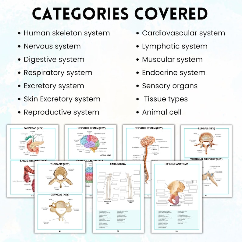 Human Anatomy Labeling Worksheets Book | Physical Anatomy Workbook ...