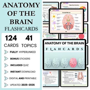 Anatomie du cerveau avec liens hypertexte, étude de l'anatomie du cerveau, étude de l'anatomie et de la physiologie, cartes de neuro-anatomie, école d'infirmières