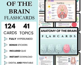 May include: Anatomy of the Brain flashcards with 124 cards and 41 topics. The image shows several flashcards with brain diagrams and the text "Anatomy of the Brain Flashcards". Includes bonus stickers, a quiz, and is fully hyperlinked.