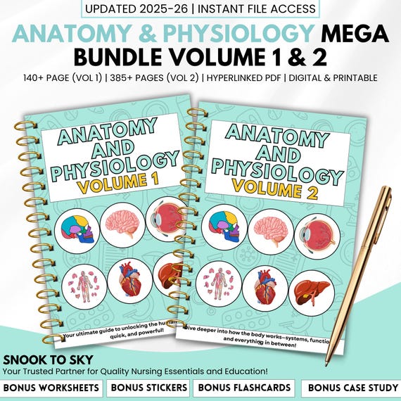 Anatomy & Physiology Mega Bundle with Flashcards Stickers Quizzes and Case Study, Medical Notes Anatomy Study Guide, Nursing School Notes