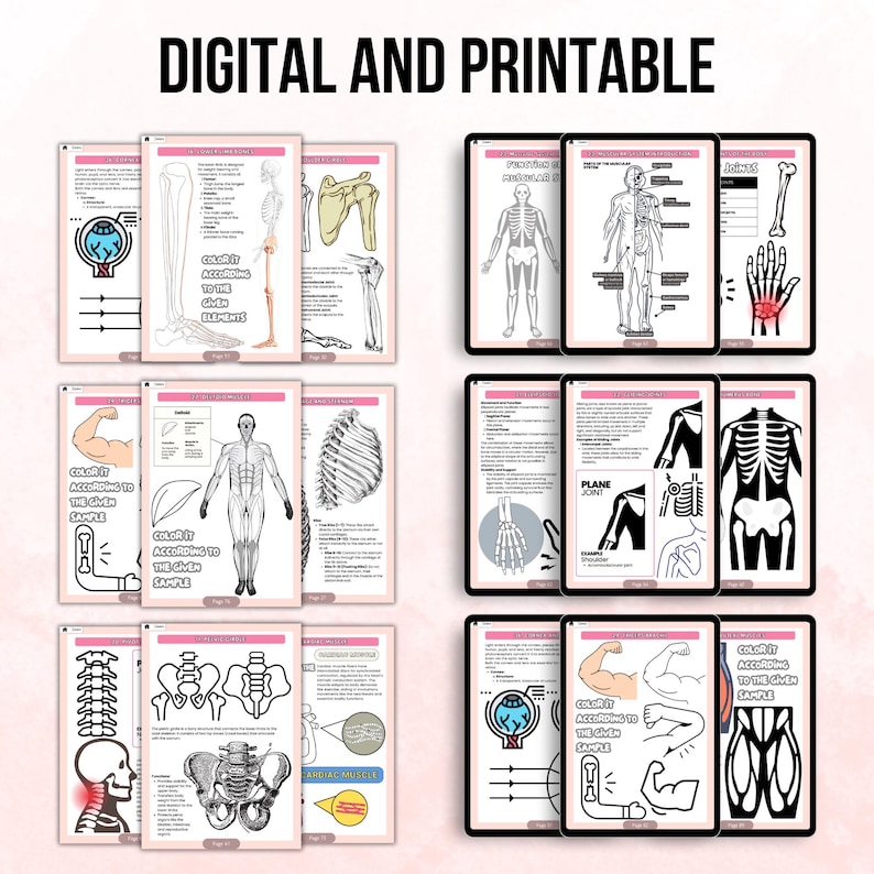 The Human Anatomy Coloring Book, Body Diagram, Medical School, Learn ...