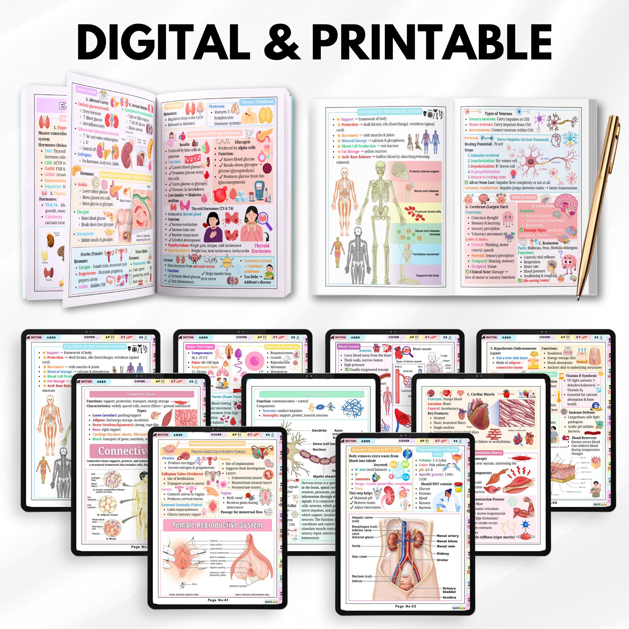 Anatomy and Physiology Cheat Sheet, A&amp;P Nursing Study Guide, Human Anatomy Notes, 110 Pages ...