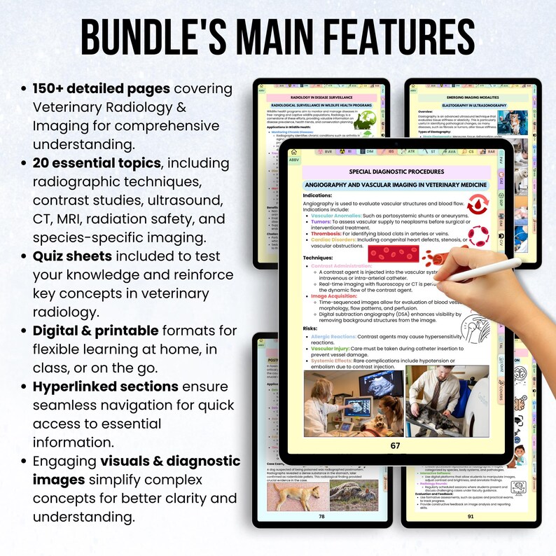 Veterinary Radiology & Imaging Notes, Radiology Study Notes, Vet Tech ...