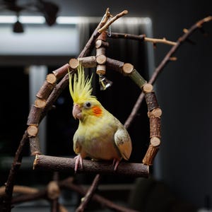 Hanging Parrot Chew Toy Swings / Birdcage Supplies / Handmade Budgies Parrot Toys / Bird Swings / Swing Perches / Small Medium Bird Toys