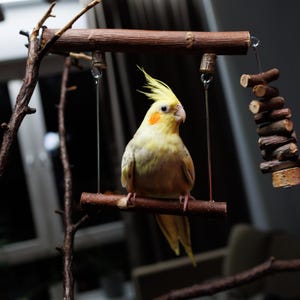 Hanging Parrot Chew Toy Swings / Birdcage Supplies / Handmade Budgies Parrot Toys / Bird Swings / Swing Perches / Small Medium Bird Toys